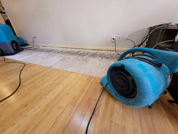 Professional Flood Damage Cleanup technician working in Wakefield, MI
